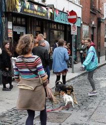 CULTURE & ARTS FESTIVAL – Poetry & Music on Aston Place