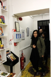 THE BLIND ELEPHANT COLLECTIVE - opening 06/11/2015