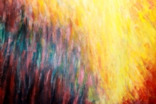 EXHIBITION: "HUMAN NATURE" by Micheál Rowsome