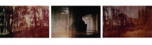 EXHIBITION: "THINGS AS THEY ARE” by Jennette Donnelly